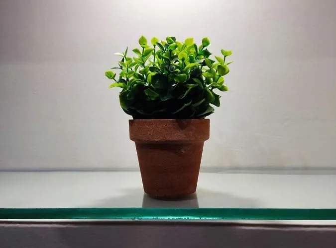 Hilltop Διαμέρισμα